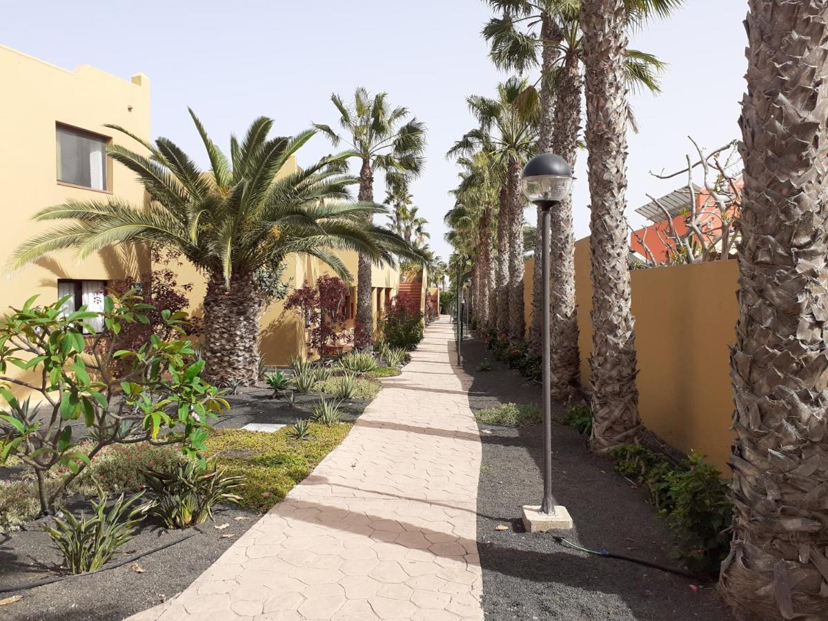 דירות קורלחו Oasis Waves House Papagayo מראה חיצוני תמונה