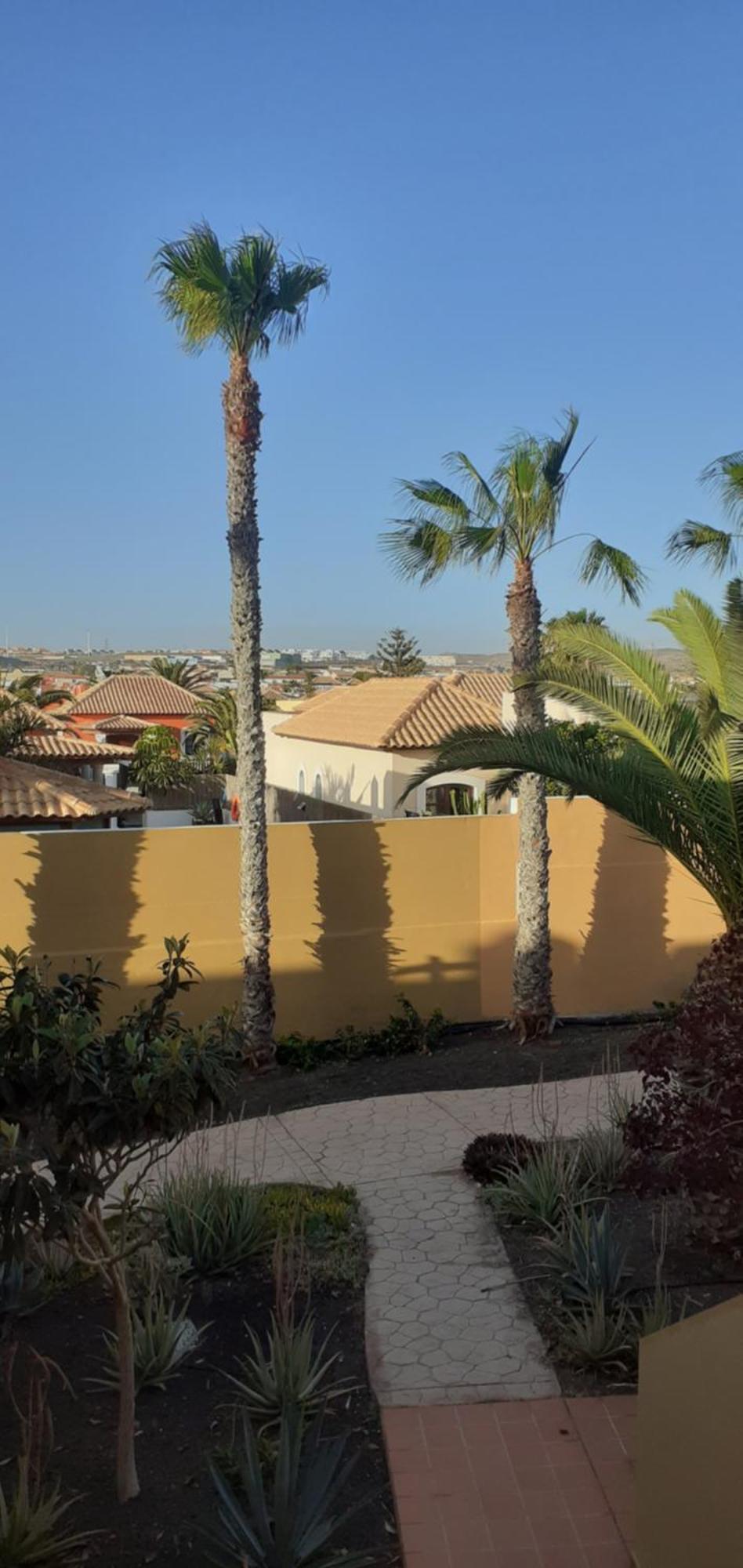 דירות קורלחו Oasis Waves House Papagayo מראה חיצוני תמונה