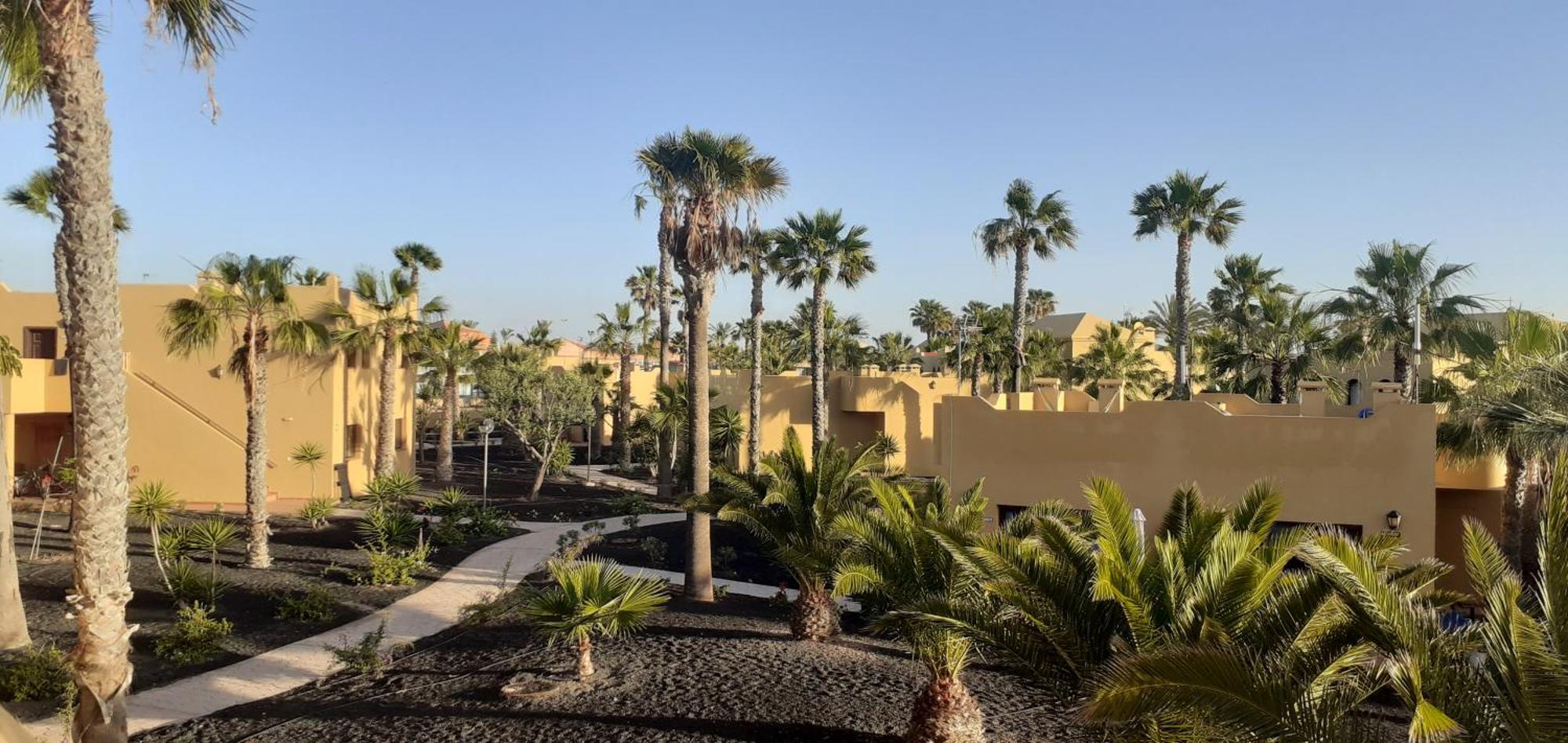 דירות קורלחו Oasis Waves House Papagayo מראה חיצוני תמונה