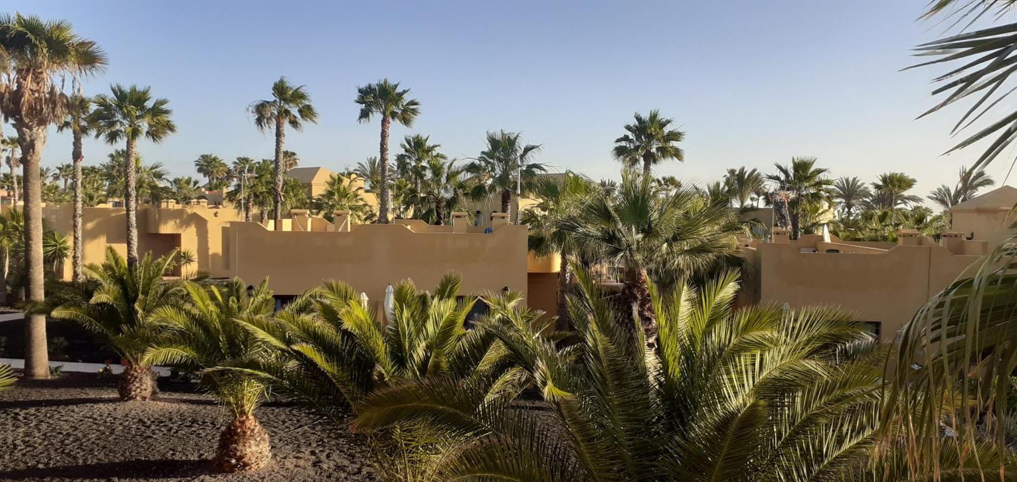 דירות קורלחו Oasis Waves House Papagayo מראה חיצוני תמונה