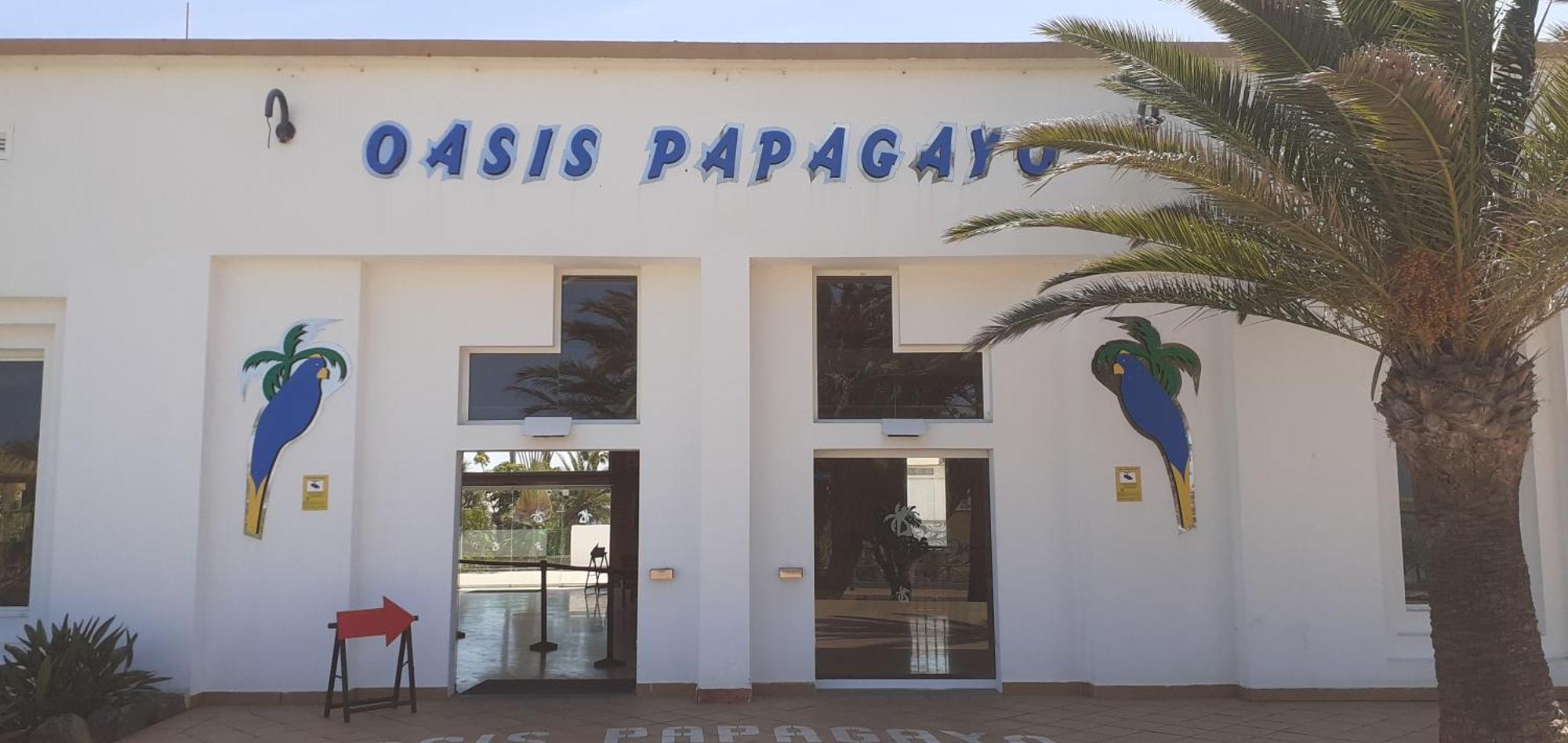 דירות קורלחו Oasis Waves House Papagayo מראה חיצוני תמונה